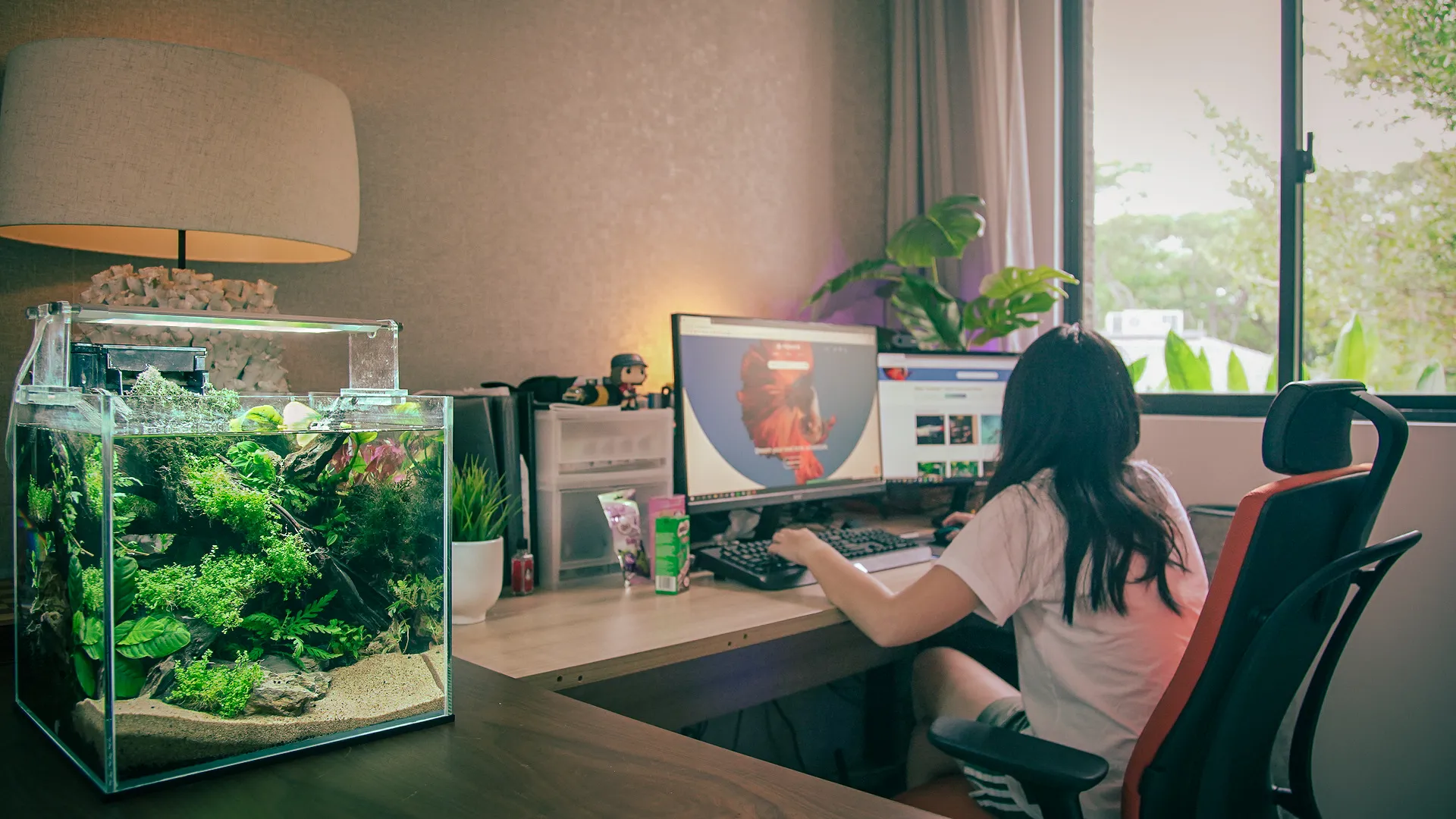 FishyHub Blog